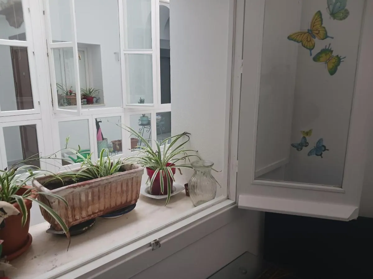 Habitacion Privada Con Bano. Cádiz 0*,  España
